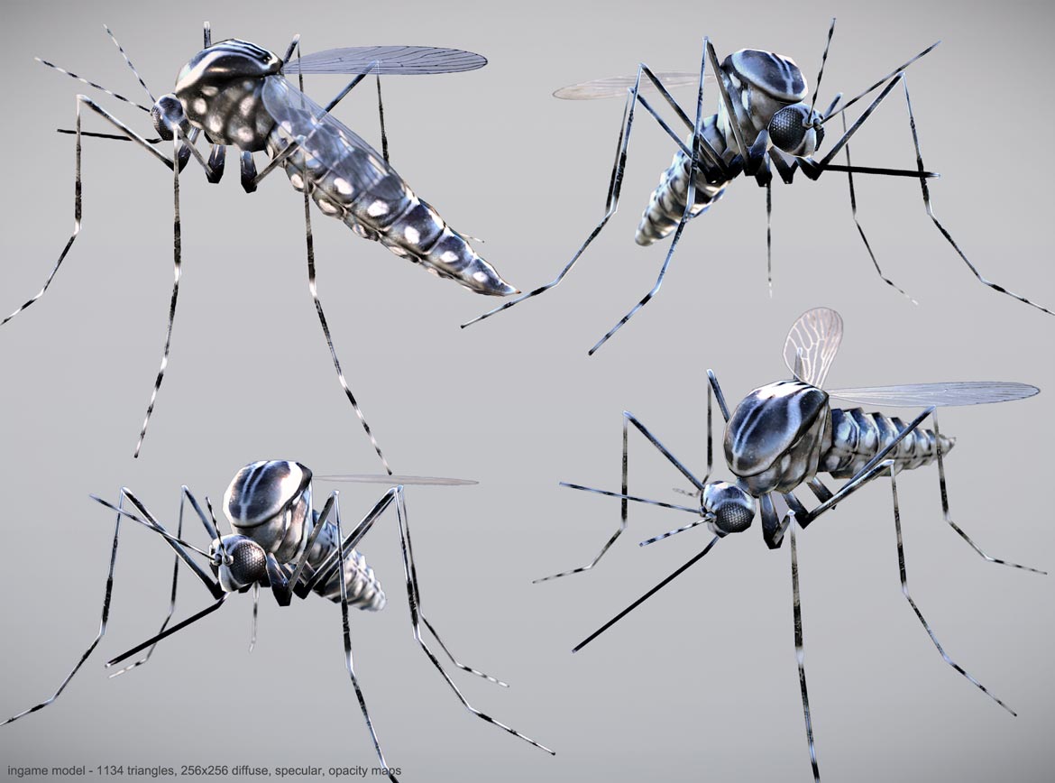 low poly mosquito